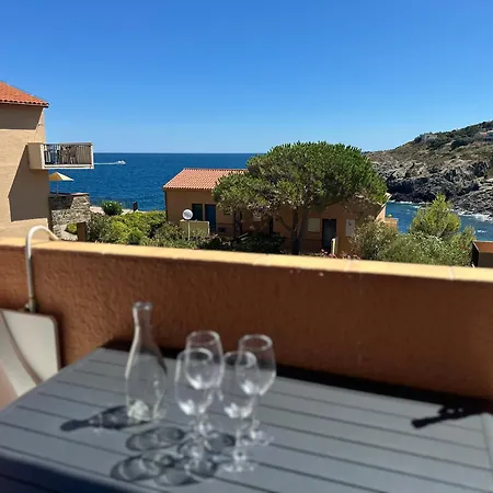 T2 Vue Avec Parking Prive - Fr-1-309-593 * Collioure