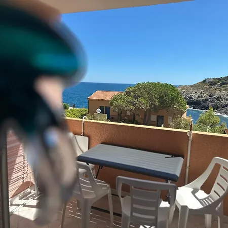 T2 Vue Avec Parking Prive - Fr-1-309-593 * Collioure